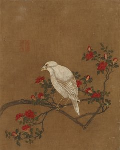 Zehn Bilder von Vögeln und Blumen