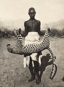 „Ein Imperium aufbauen“ im faschistischen Zeitalter: Einheimischer zeigt einen Leoparden, 09/05/1936
