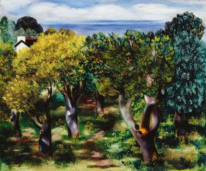 Landschaft in Sanary