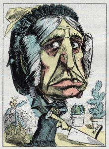 Allegorie der „Stiefmutter“ (Belle mère) in „Le Trombinoscope“ von Touchatout, Karikatur von B. Moloch von 1882 (1849-1909). Private Sammlung