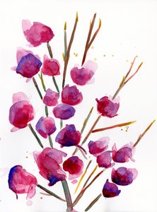 Magnolie