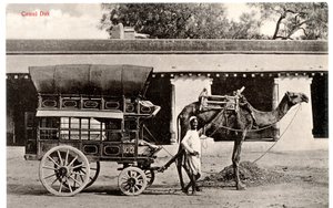 Kamel-Dak, ca. 1911-12 (Sepia-Foto)