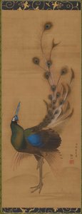 Pfau, 1786 von Mori Sosen