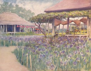 Ein Irisgarten, 1903 von Mortimer L Menpes