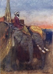 Elefanten von Jaipur