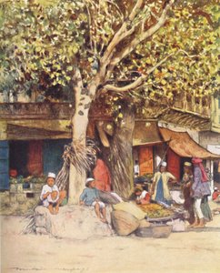Mittag, Delhi, 1905