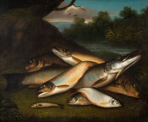 Fisch, 1790