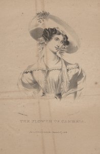 Die Blume von Cambria, Lithographie von C.G. Childs, 1830