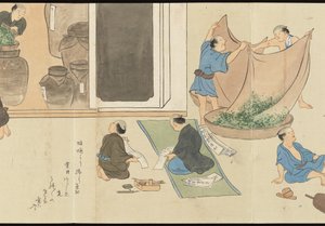 Illustrationen der Uji-Teeproduktion von Motonari Sait?