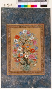 Mythische Pflanze von Mughal School
