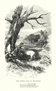 William Wordsworth: The White Doe of Rylstone (Gravur) von Myles Birket (after) Foster