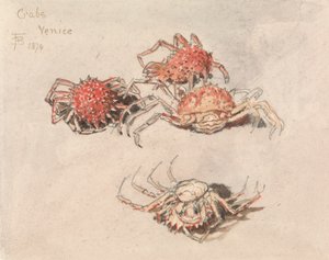 Studien von Spinnenkrabben, Venedig von Myles Birket Foster