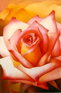 Die Rose