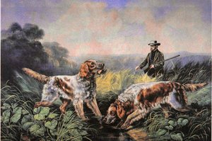 Amerikanische Feldsportarten: Abrufen