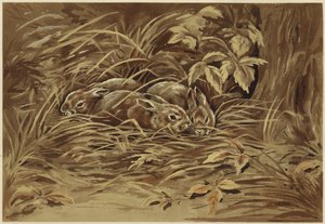 Kleine Hasen von N. Parker