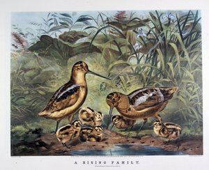 Eine Familie erhebt sich. Von Arthur Tait. 1857