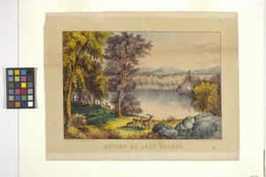 Herbst am Lake George