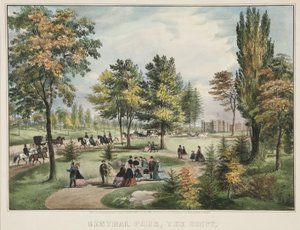 Central Park - Die Fahrt