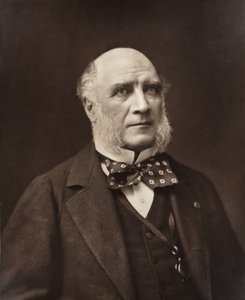 Élie-Louis, duc Decazes, französischer Staatsmann und Diplomat, 1819-1886, ca. 1853-1877 von Nadar
