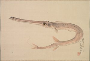 Nadelhecht (Yagara)