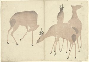 Vier Hirsche