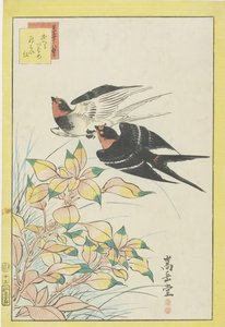 Heimkehrende Schwalben und rote Blätter von Nakayama Sugakudo
