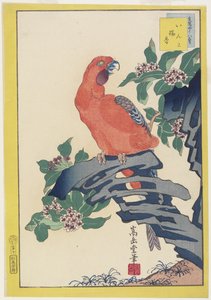 Rosa Papagei auf Felsen von Nakayama Sugakudo
