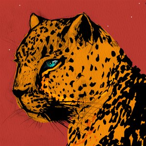 Mara-Leopard
