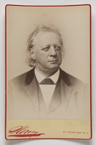 Henry Ward Beecher von Napoleon Sarony