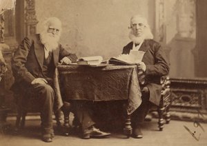 William Cullen Bryant und Peter Cooper von Napoleon Sarony