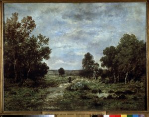 Herbst in Fontainebleau