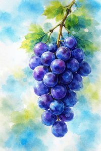 Lila Trauben Aquarell