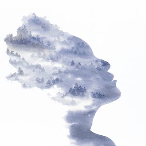 Gelassene Waldsilhouette