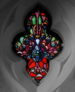 Pfau