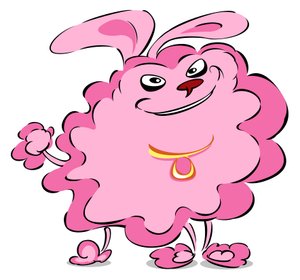 Pompom Pudel - Karikatur von Neale Osborne