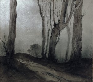 Schatten der Nacht von Nesta Jennings Campbell