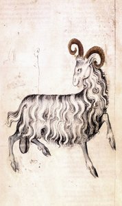 Das Sternzeichen Steinbock (Pergament)