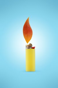 Das Feuerzeug