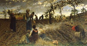 Aussaat in der Toskana von Niccolo Cannicci
