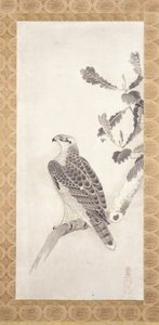 Falke auf einem Ast von Nichokuan Soga