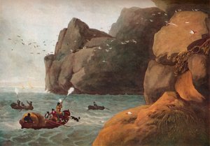 Papageientaucherjagd, ca. 1806 von Nichols and Merke