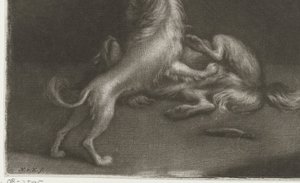 Zwei spielende Hunde von Nicolaas Verkolje