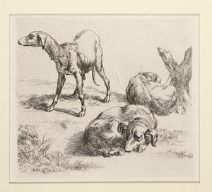 2 Radierungen aus dem Set Verschiedene Tiere, mit dem Mann unter den Bäumen, dem sogenannten Mann von Nicolaes Berchem
