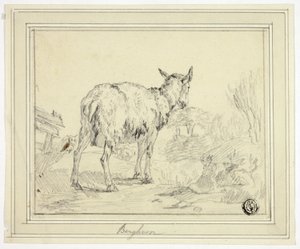 Ziege von Nicolaes Berchem