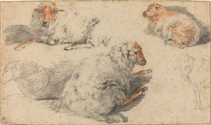 Schafe von Nicolaes Pietersz Berchem