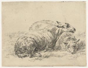 Zwei liegende Schafe von Nicolaes Pietersz Berchem