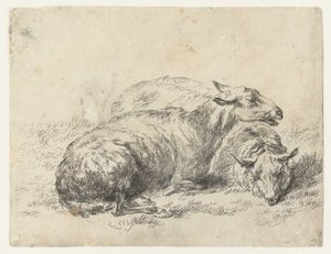 Zwei liegende Schafe (Serie: Animalia ad vivum delineata et aqua forti aeri impressa Studio et Arte Nicolai Berchemi) von Nicolaes Pietersz Berchem