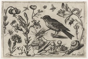 Blumen, eine Schnecke und ein Vogel Vögel, Blumen, Insekten etc. (Serientitel)