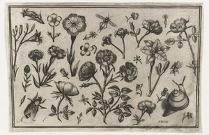 Blumen, eine Fliege und eine Schnecke