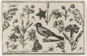 Blumen, Schmetterling und ein Vogel
